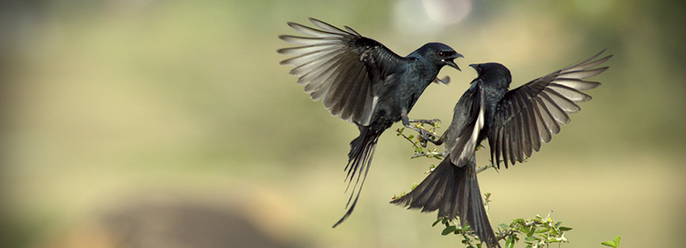 快速补货的免费ddos网页端