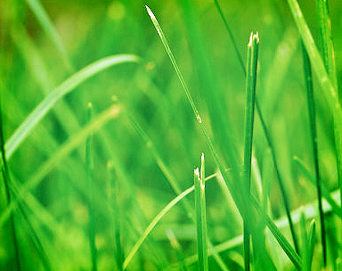 在线DDOS攻击平台